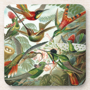 birds flowers flower bird nature vintage painting coaster