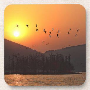 Birds Flying in Sunset Sky Over East Lake Coaster