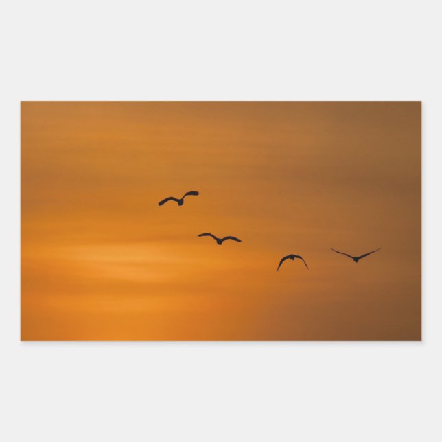 Birds flying in sunset sticker (Front)