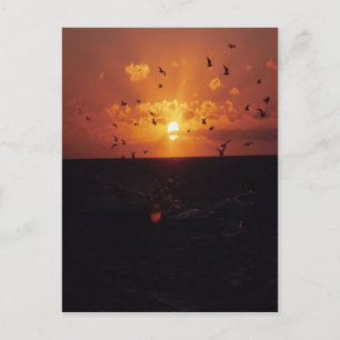 birds flying in the sunset, on a post card