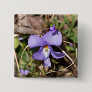 Birds-Foot Violet w/ Bluets 2 Inch Square Button