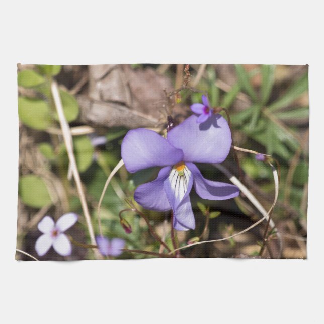 Birds-Foot Violet w/ Bluets Kitchen Towel (Horizontal)