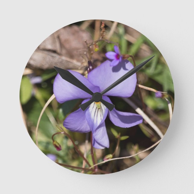 Birds-Foot Violet w/ Bluets Round Clock (Front)
