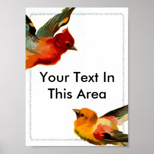 Birds Frame 2, Your Text In This Area Poster