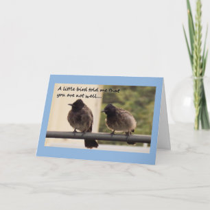 Birds get well card