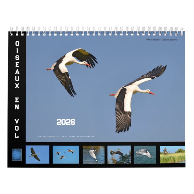 Birds in flight 12 month calendar (Cover)