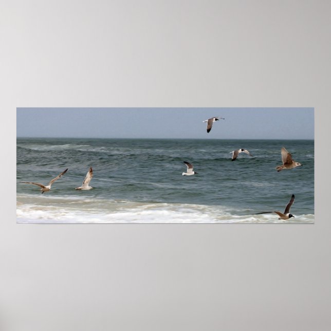 Birds In Flight by Shirley Taylor Poster (Front)