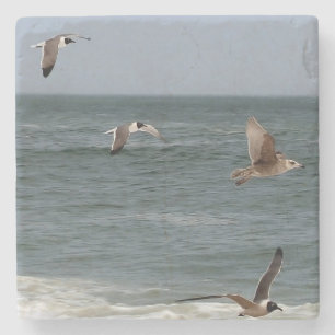 Birds In Flight by Shirley Taylor Stone Coaster