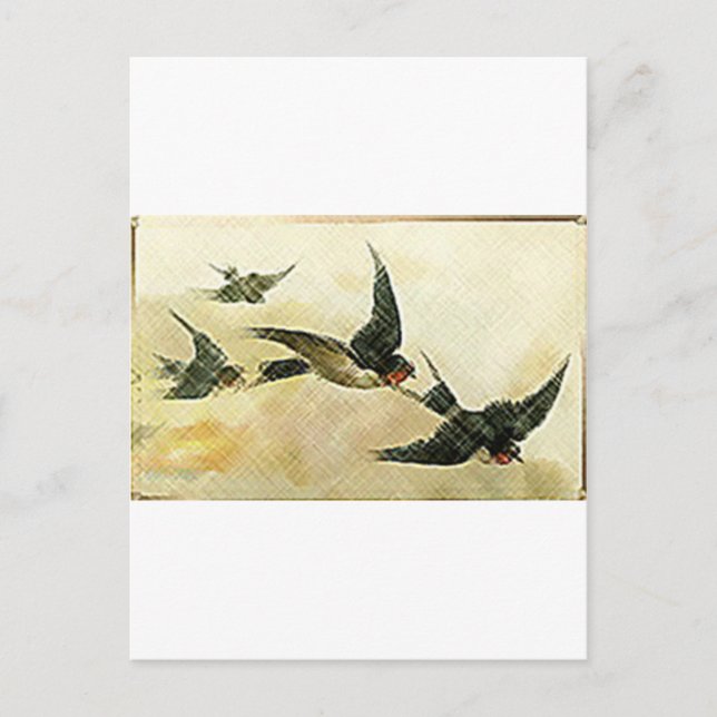 Birds In Flight Postcard (Front)