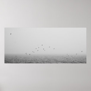 Birds in fog poster