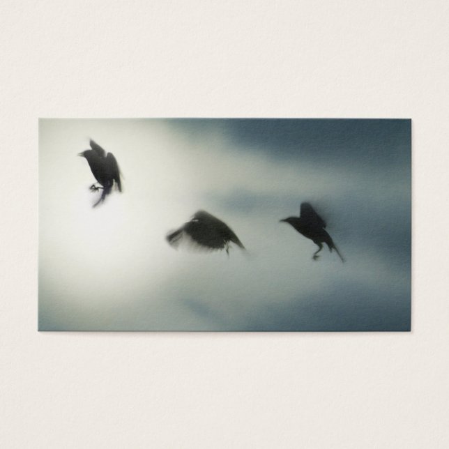 Birds In Motion (Front)