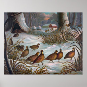 Birds In Snow Poster