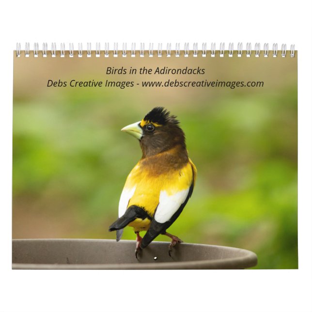Birds in the Adirondacks 2026 Calendar (Cover)