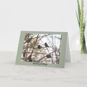 birds in the Bush greeting card