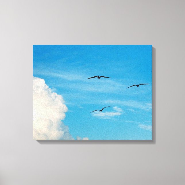 Birds in the Sky Canvas Print (Front)