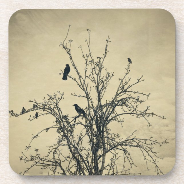 Birds in the tree   -     coaster (Front)