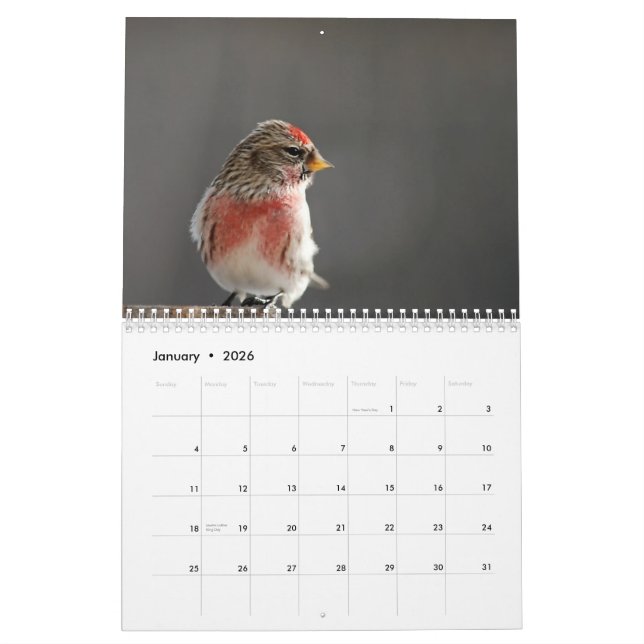 Birds in Winter 2015 Calendar (Jan 2026)