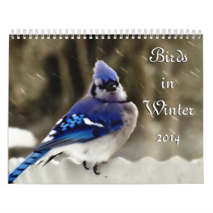 Birds in Winter Calendar