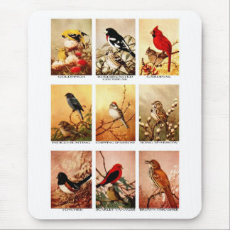 Birds Mouse Pad