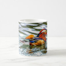 Birds Mug - Mandarin Duck