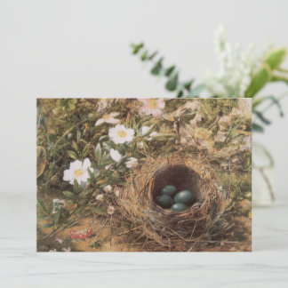 Bird's Nest and Dog Roses by John William Hill