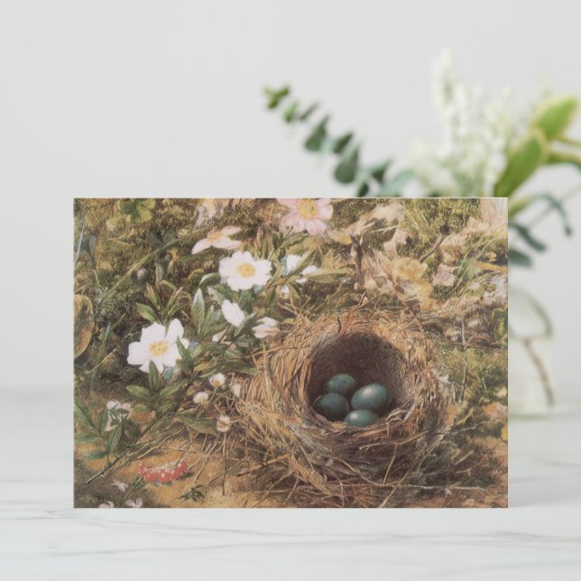 Bird's Nest and Dog Roses by John William Hill (Standing Front)