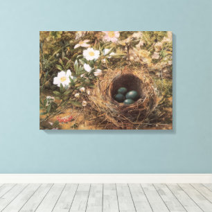 Bird's Nest and Dog Roses by John William Hill Canvas Print