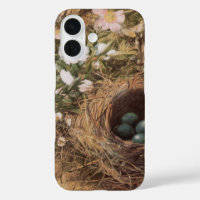 Bird's Nest and Dog Roses by John William Hill