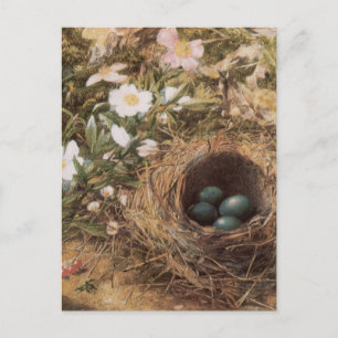 Bird's Nest and Dog Roses by John William Hill Postcard