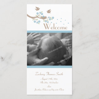 Birds Nest Birth Announcement