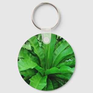 Bird's Nest Fern Keychain