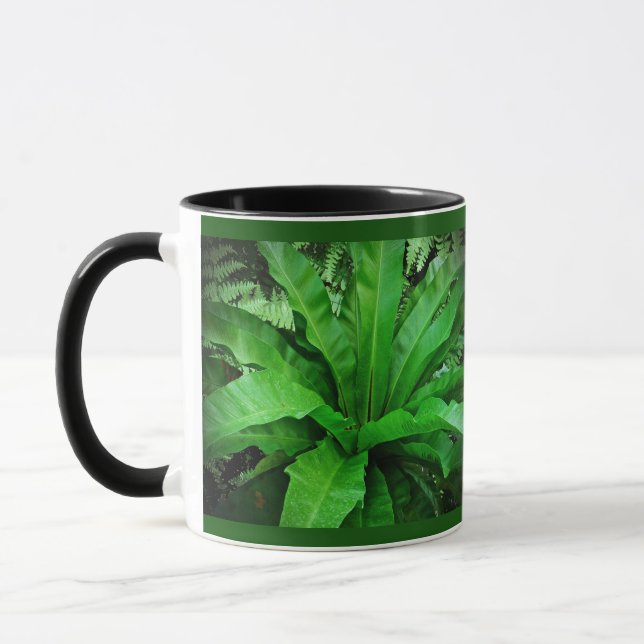 Bird's Nest Fern Mug (Left)