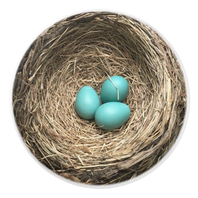 Birds Nest with Blue Eggs Ceramic Knob (Front)