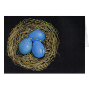 Birds Nest with Eggs: Add Your Caption