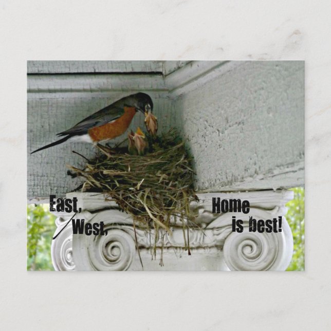 Birds nest with quote about home. postcard (Front)