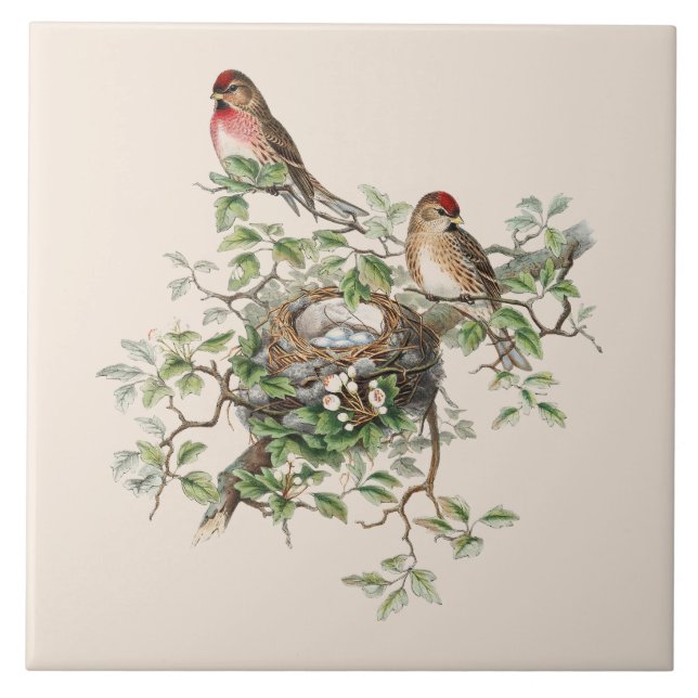 Birds Nesting Background Tile (Front)
