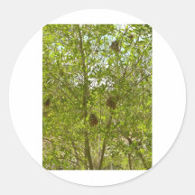 BIRDS NESTS  IN TREES ROUND STICKER