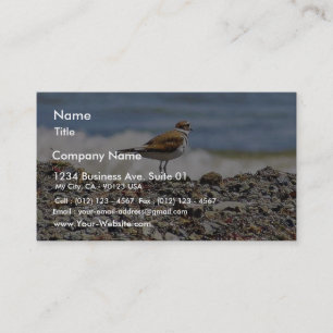 Birds Oceans Beaches Business Card
