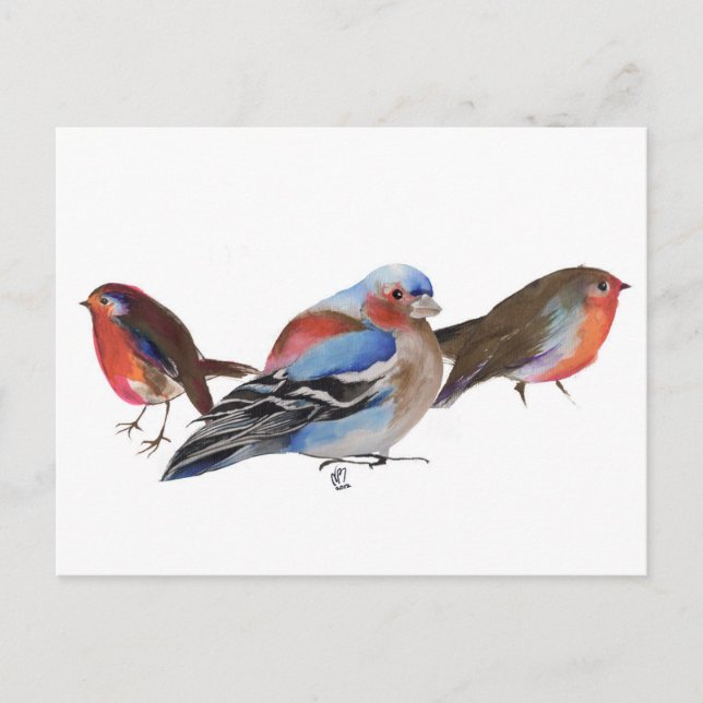 Birds of a feather 2011 postcard (Front)