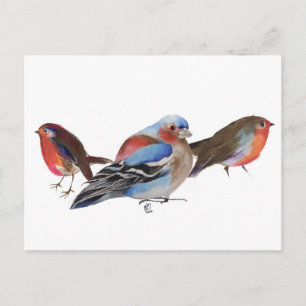 Birds of a feather 2011 postcard