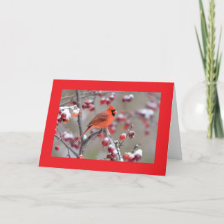 BIRDS OF A FEATHER/CELEBRATE TOGETHER BIRTHDAY! CARD