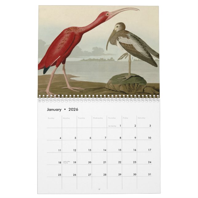 Birds of America Calendar (Jan 2026)