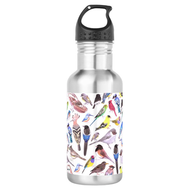 Birds of America- pets and wild birds 532 Ml Water Bottle (Front)