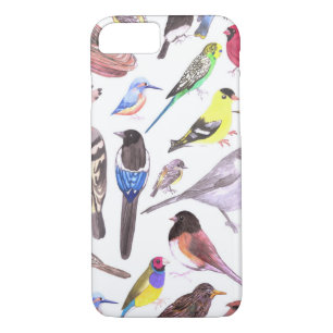 Birds of America- pets and wild birds Case-Mate iPhone Case