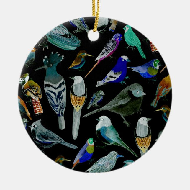 Birds of America- pets and wild birds Ceramic Ornament (Front)