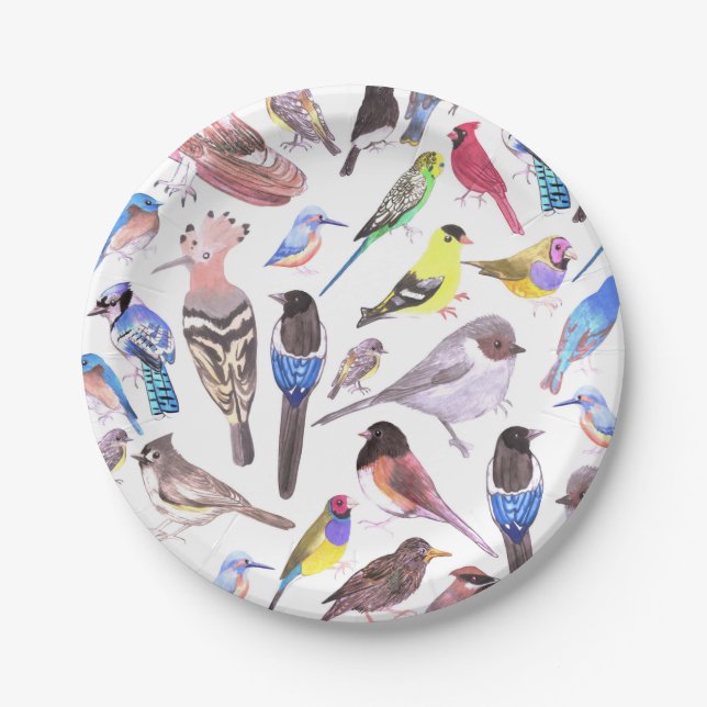 Birds of America- pets and wild birds Paper Plate (Front)