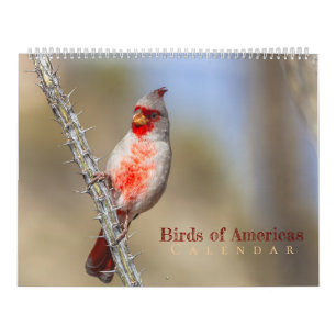 Birds of Americas Calendar