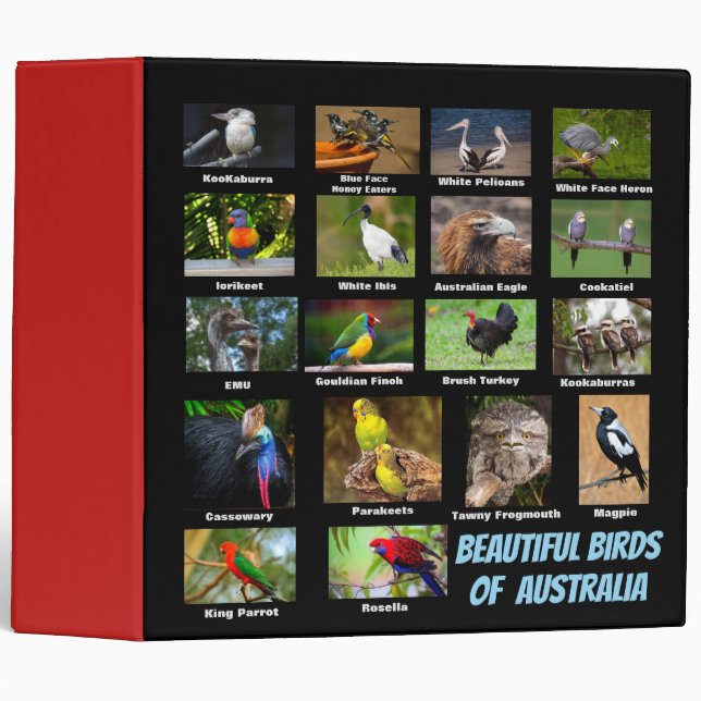 Birds of Australia Binder (Front/Spine)