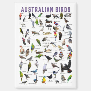 Birds of Australia Magnet
