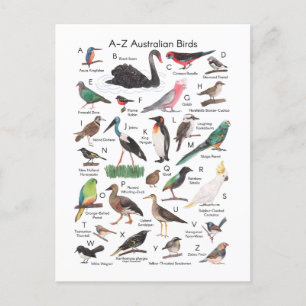 Birds of Australia  Postcard
